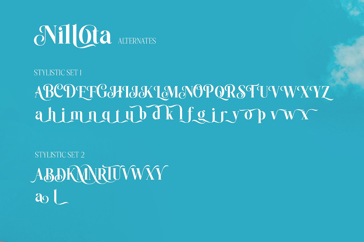 Nilota Typeface, a Serif Font by alit design (Photo 9 of 20)