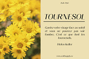 Saphile Rounded, a Sans Serif Font by Craft Supply Co. (Thumbnail 5 of 8)