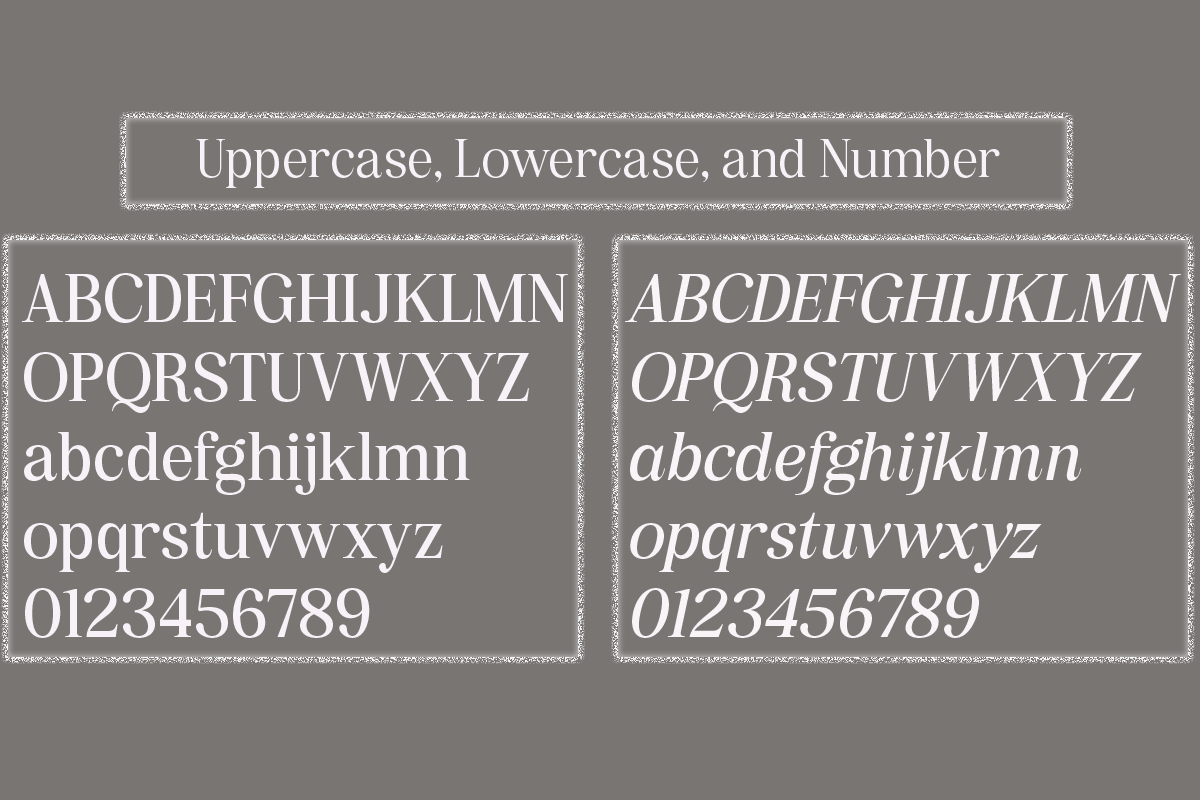 Pujarelah - Serif Family Font, a Serif Font by Differentialtype (Photo 8 of 13)
