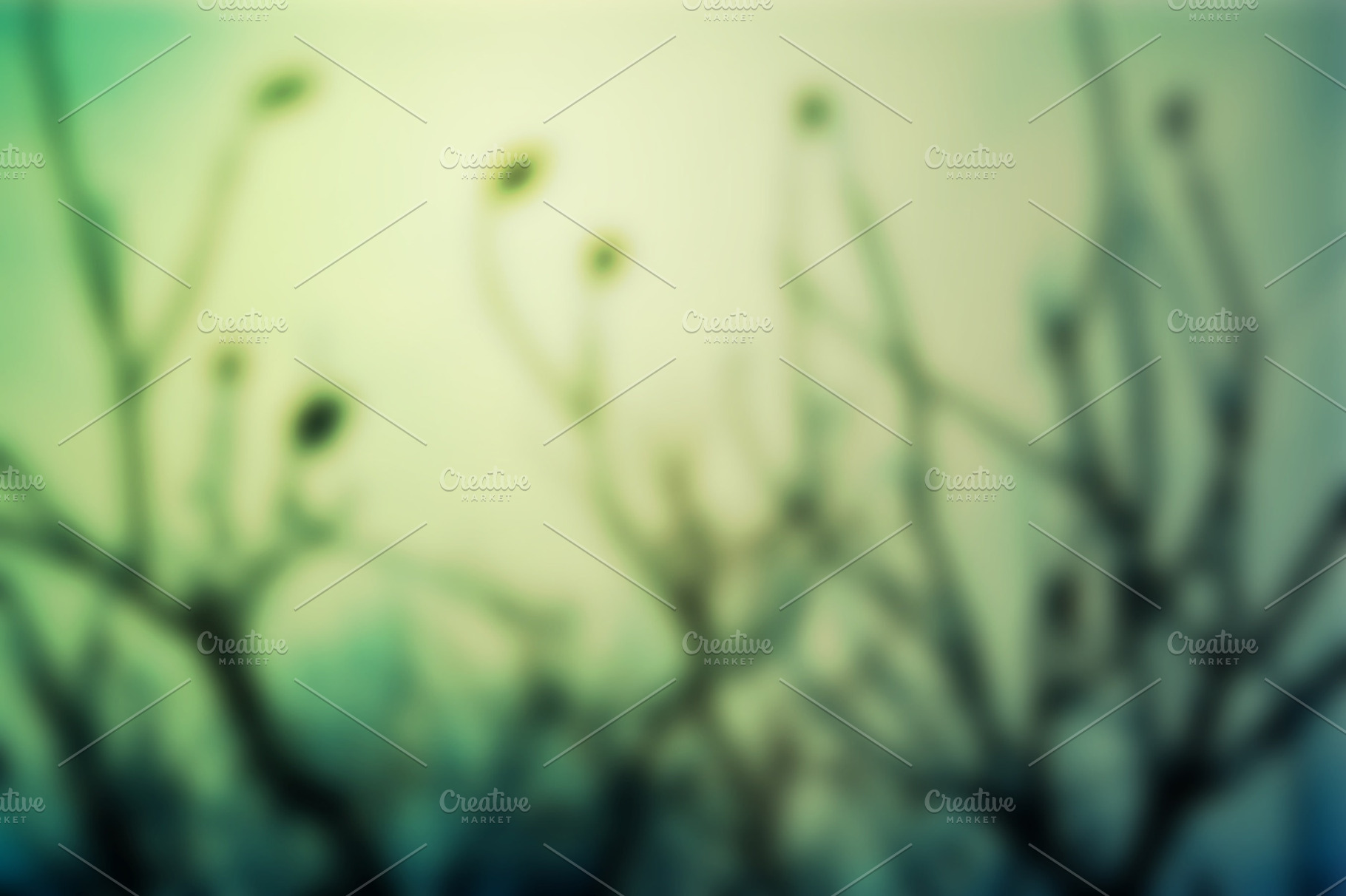 Winter Twig Blur