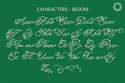 Alight Garden - Ornamental Script, a Script Font by Setara Langit CreativeStd (Thumbnail 10 of 11)