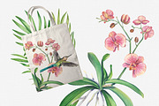 Tropic flower watercolor clip art, a Decorative Illustration by Nastya Che (Thumbnail 9 of 9)