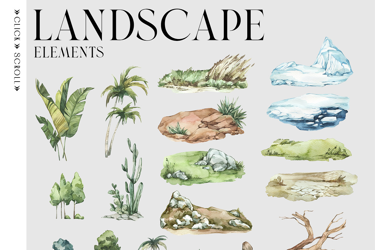 ANIMALS World Encyclopedia, an Animal Illustration by Anastezia Luneva (Photo 12 of 14)