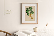 BUNDLE: 200 Vintage Art Prints, a Decorative Illustration by The Object Atlas (Thumbnail 19 of 22)