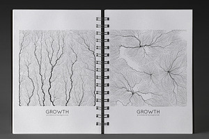 Growth Textures 3