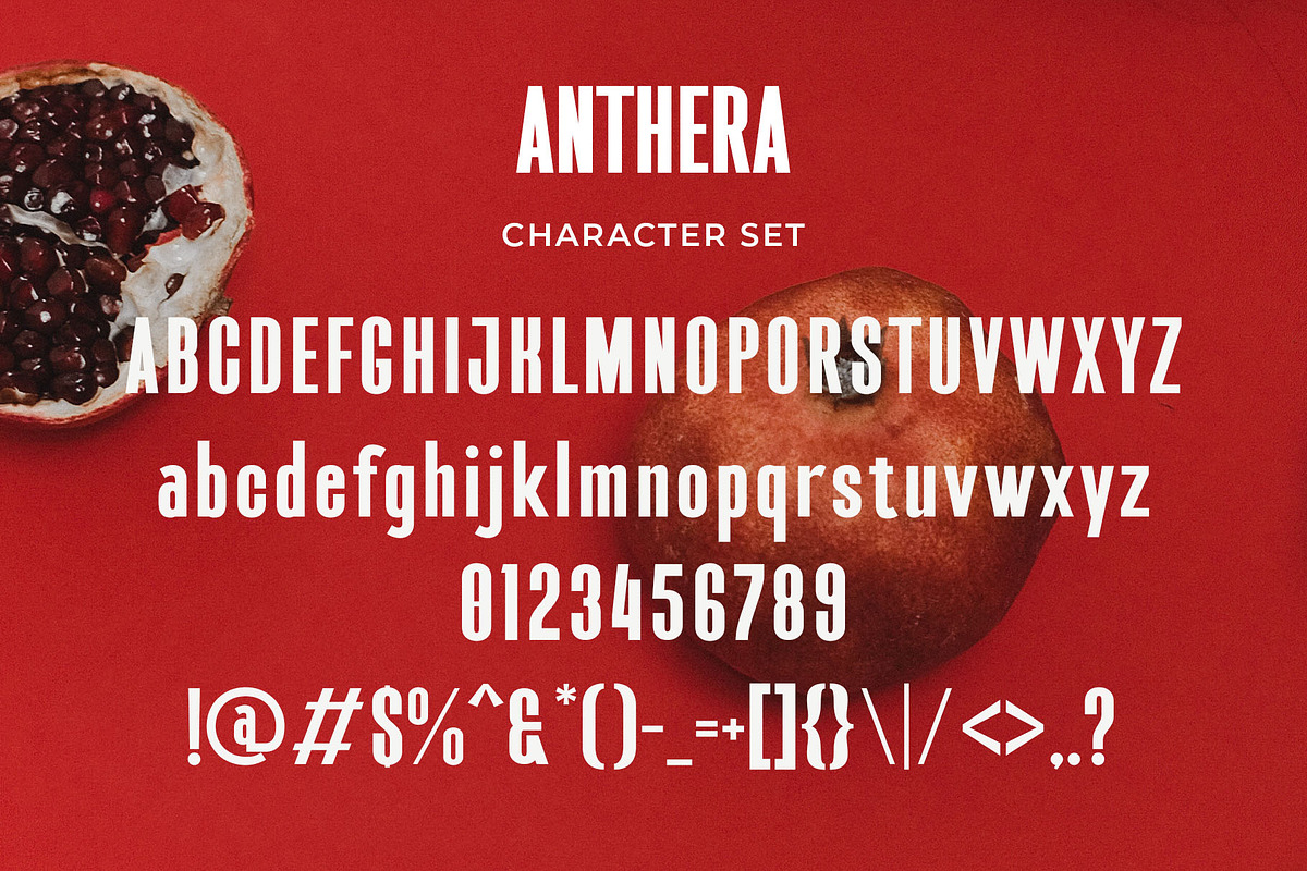 Anthera - Modern Condensed Sans Seri, a Sans Serif Font by TypeLogue (Photo 5 of 5)