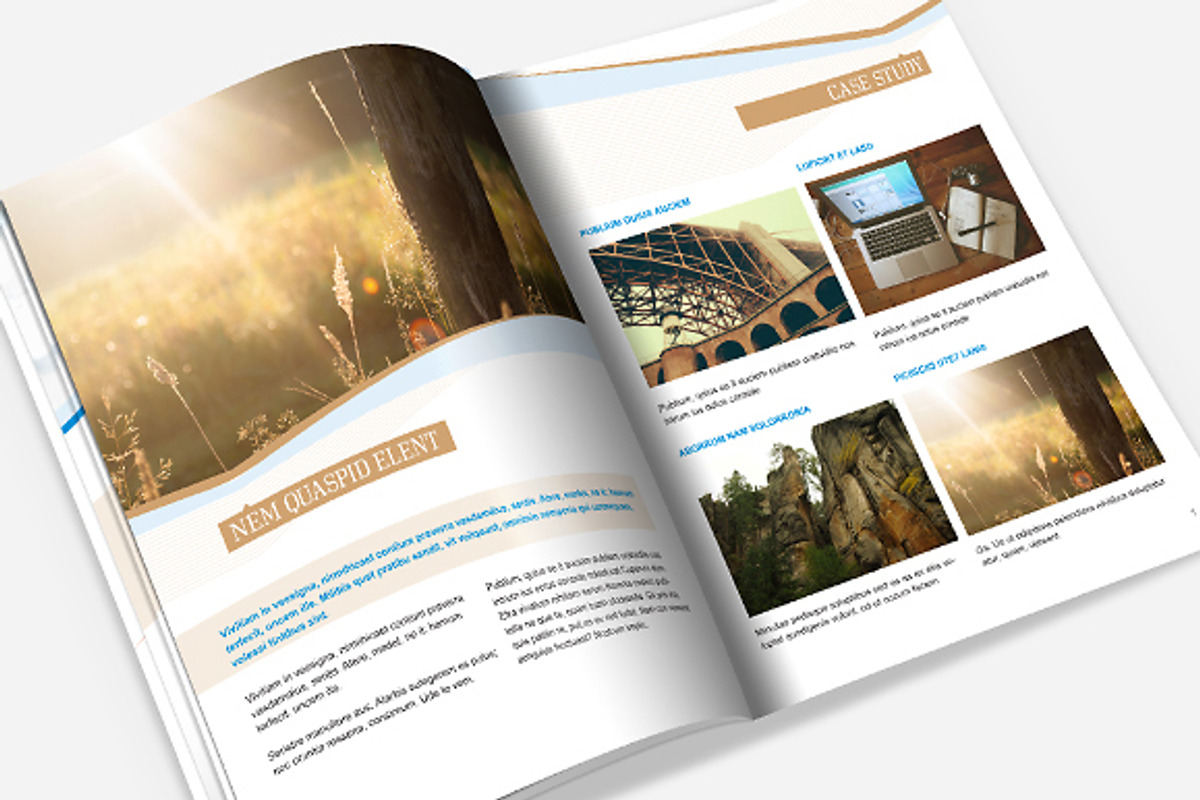 Brochure - Proposal Template, a Brochure Template by Templatepickup (Photo 4 of 5)