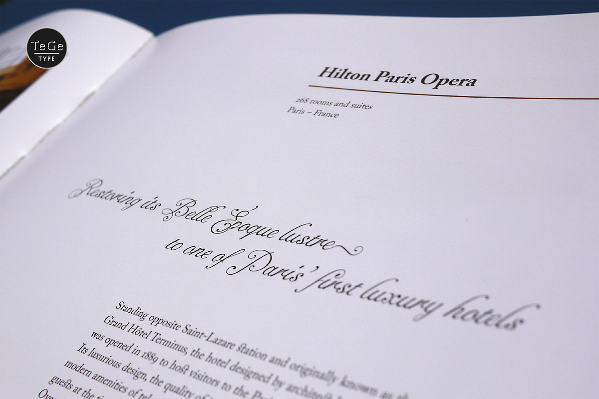 Alipe Script, a Script Font by TeGeType foundry (Photo 2 of 6)