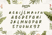 Bonfire - Modern Brush Font, a Handwritten Font by Alpaprana (Thumbnail 12 of 13)