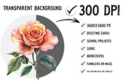 Watercolor Pastel Whispers Clipart, an Illustration by Craft Nest (Thumbnail 2 of 6)