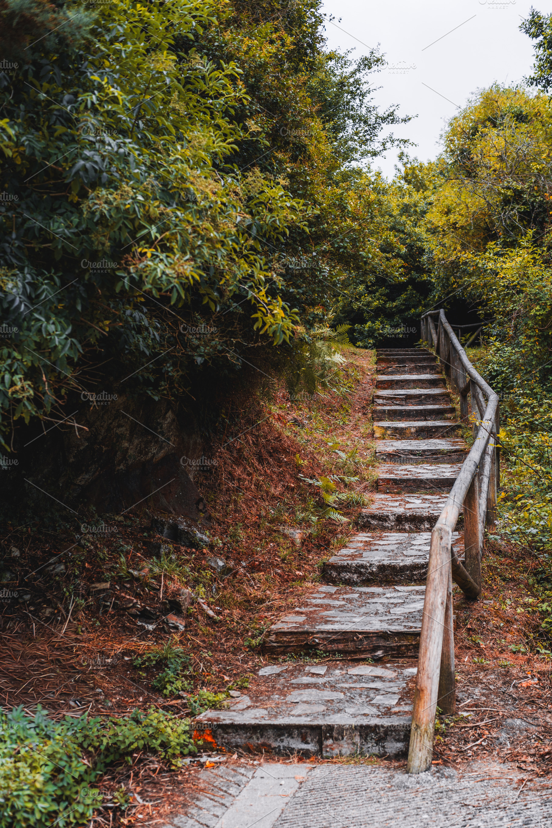 Stone stairs in forest path, an Architecture Photo by SkyNext