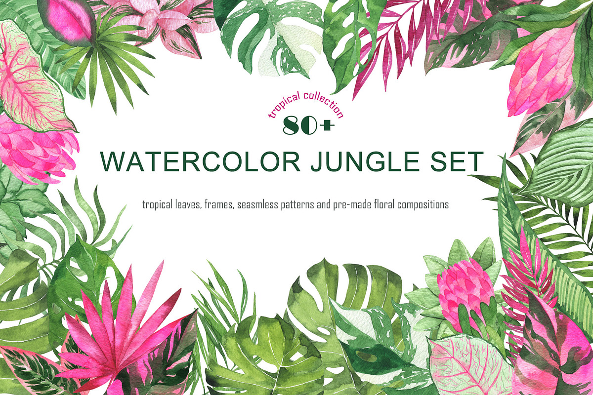 Watercolor jungle set, an Illustration by Watercolor & sketches (Photo 1 of 13)