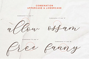 Nadia Script | Lovely Calligraphy, a Script Font by WDfont (Thumbnail 6 of 10)