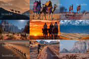 80 Desert Camel Stock Photos, an Animal Photo by Incomelion (Thumbnail 11 of 15)