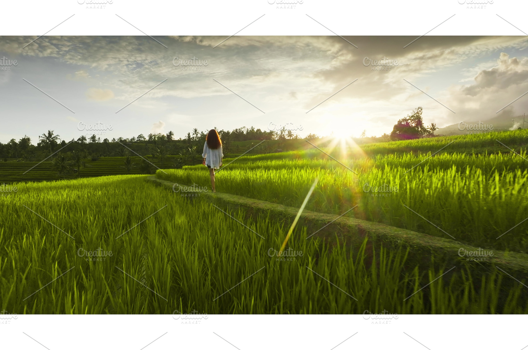Woman walking rice terraces at, a Nature Photo by Goinyk