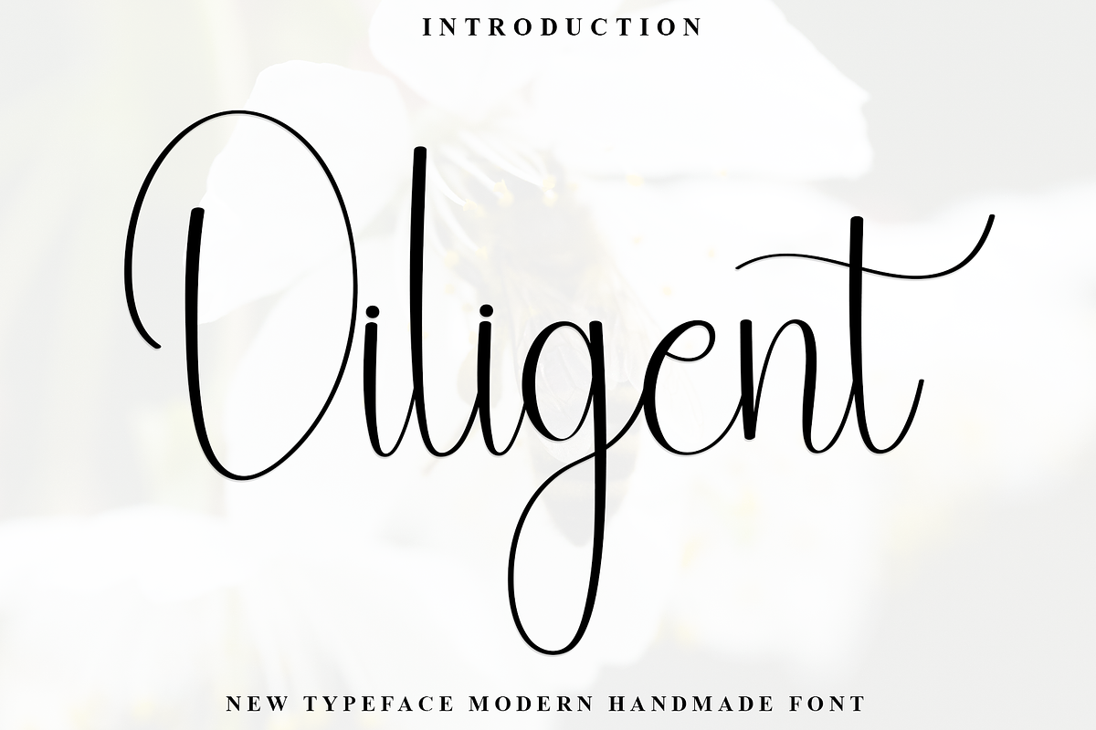 Diligent, a Handwritten Font by InermediaSTUDIO (Photo 1 of 8)