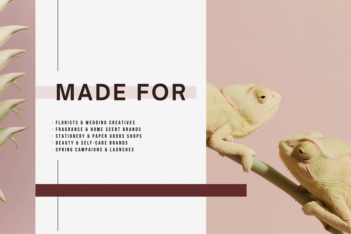 Soft Pastel Stock Photos Bundle 280, a Nature Photo by Tale.Haus (Photo 7 of 19)