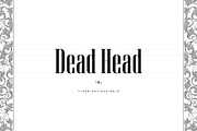 Virgo Antique Display, a Serif Font by Vintage Type Company (Thumbnail 12 of 15)