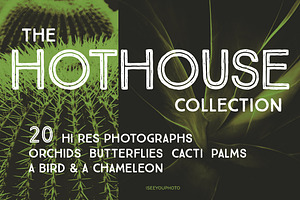 The HOTHOUSE Collection