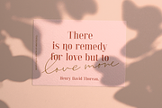 Blaine, a Serif Font by Larin Type Co. (Thumbnail 6 of 11)