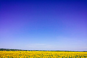 Fuji Astia 100F Lightroom Presets, an Action Add-On by Daily Studio (Thumbnail 10 of 10)