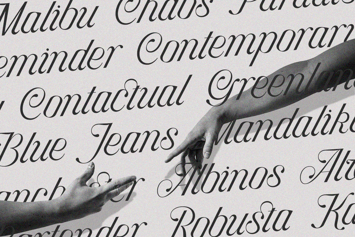 Hottest Springs Typeface, a Script Font by Letter Fresh (Photo 3 of 12)