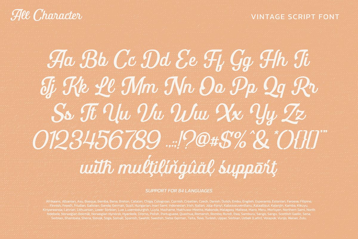 Retrolife, a Script Font by Vintage Division (Photo 9 of 10)