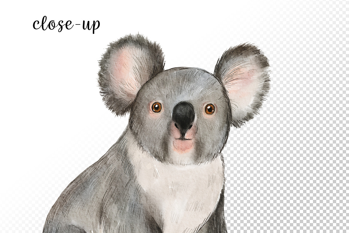 Watercolor Australia Animals Clipart, an Animal Illustration by svetodesign (Photo 8 of 9)