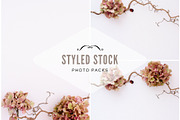 Pack 32 i styled stock stock photo containing minimalist and succulents, a Business Photo by SophieStockBoutique (Thumbnail 1 of 4)
