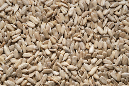 Shelled sunflower seeds background., a Food & Drink Photo by chamillewhite