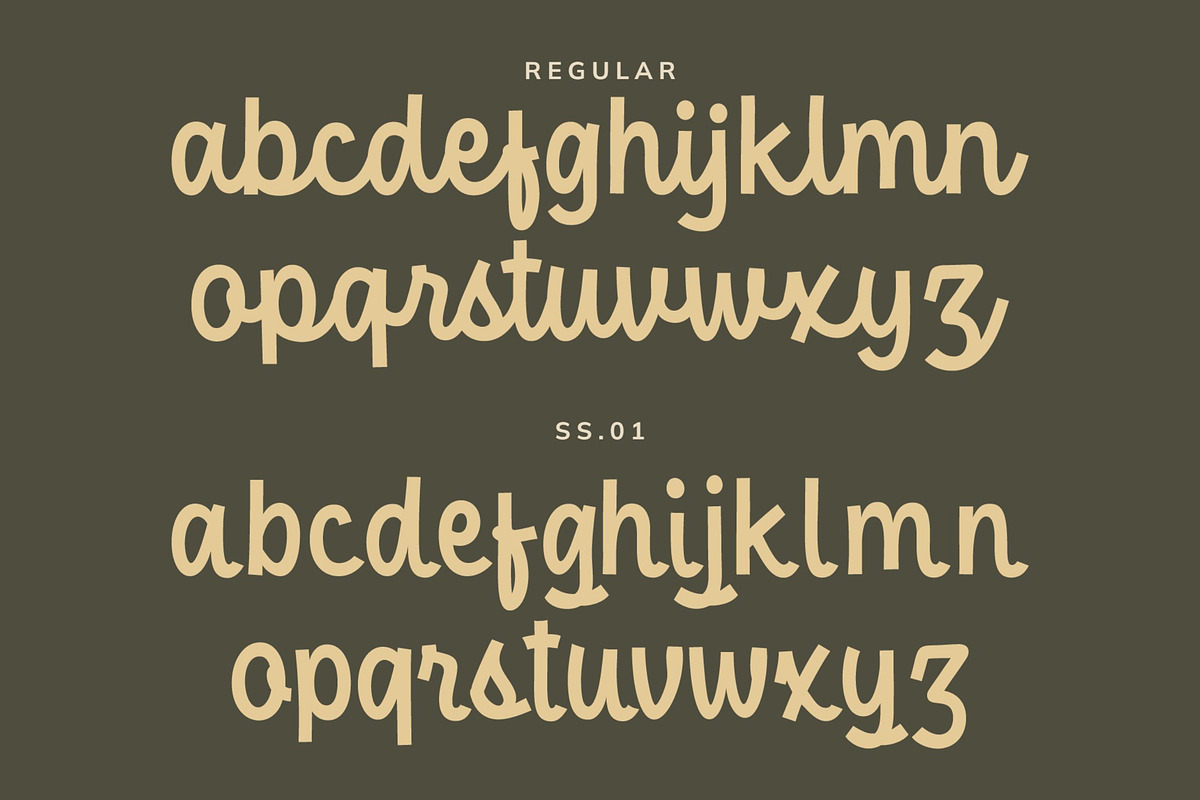 Pristers Font, a Script Font by Glyphminds Studios (Photo 7 of 10)