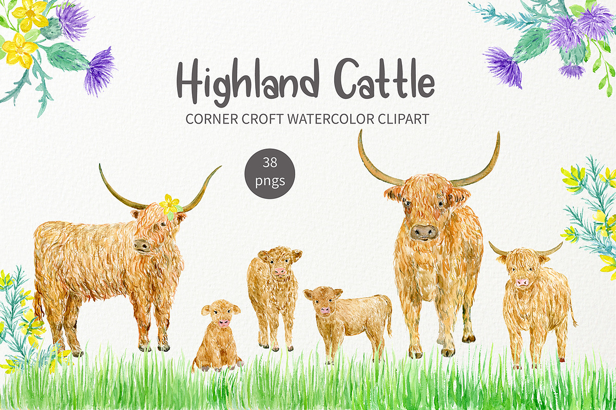 Watercolor Highland Cattle Clipart, an Animal Illustration by Corner Croft (Photo 1 of 6)