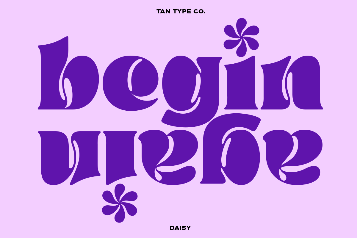 Tan Daisy Font Free Downloadv - UIFreebies