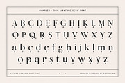 Charles - Chic Ligature Serif Font, a Serif Font by SilverStag Type Foundry (Thumbnail 30 of 31)