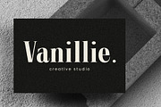 Salbatore - Vintage Serif, a Serif Font by Almeera Std (Thumbnail 3 of 6)