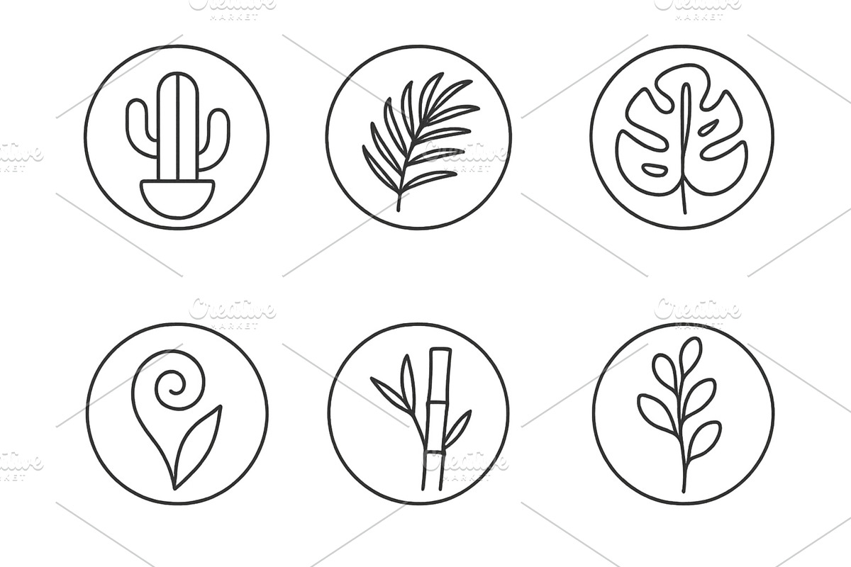 Illustration of six unique plant, an Illustration by ZinetroN