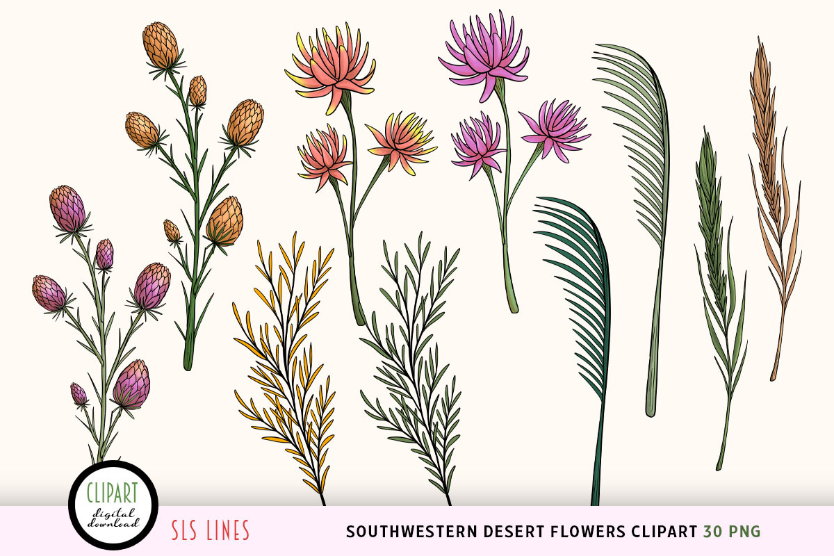 Southwestern Desert Flowers Clipart, a Decorative Illustration by SLS Lines (Photo 2 of 6)