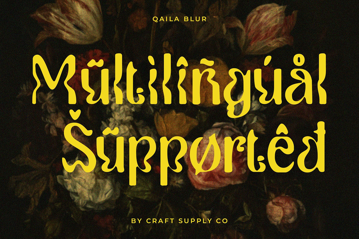 Qaila Blur, a Serif Font by Craft Supply Co. (Photo 7 of 8)