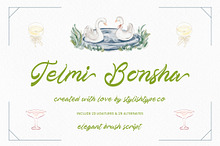 Telmi Bonsha Elegant Brush Script