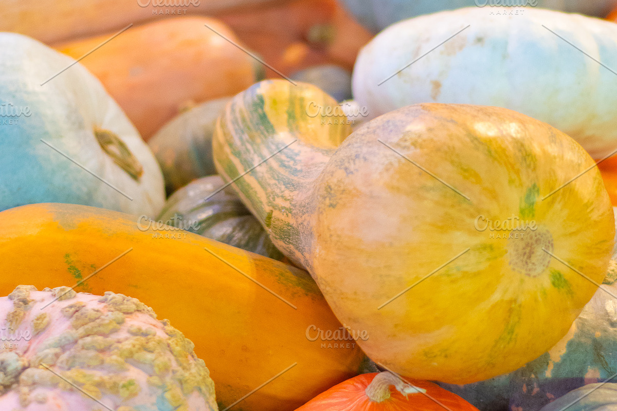 Fall Pumpkin Stock Bundle, a Holiday Photo by r.r.palacios (Photo 7 of 15)