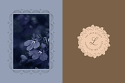 Line Lace Frames - vector designs, an Object Graphic by venimo (Thumbnail 5 of 14)