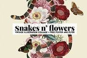 Snakes n' flowers collage+ freebies, an Illustration by Negative Space (Thumbnail 1 of 5)