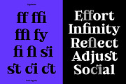 Bold Dignify - Minimalist Calm Serif, a Serif Font by Fridaytype (Thumbnail 8 of 12)