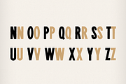 NT Plakaty, a Sans Serif Font by NovoTypo (Thumbnail 3 of 5)