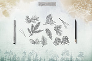 Misty Forest Collection, an Animal Illustration by Michael Rayback Design (Thumbnail 5 of 7)