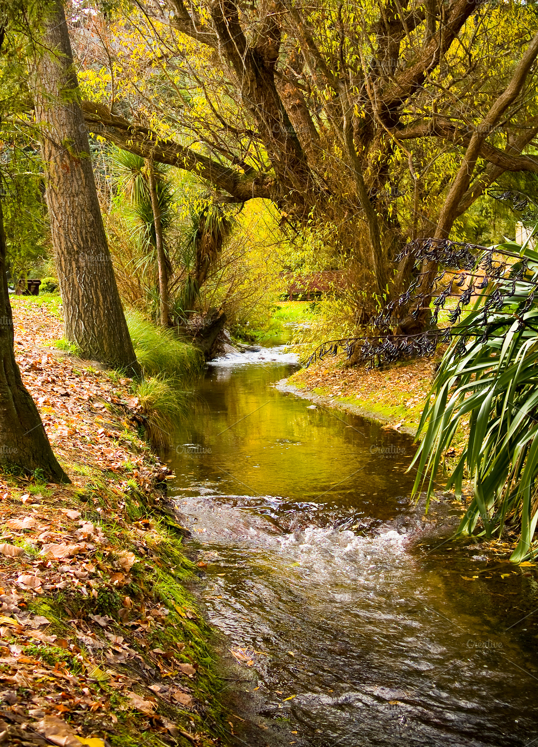Autumn Stream, a Nature Photo by THP Creative