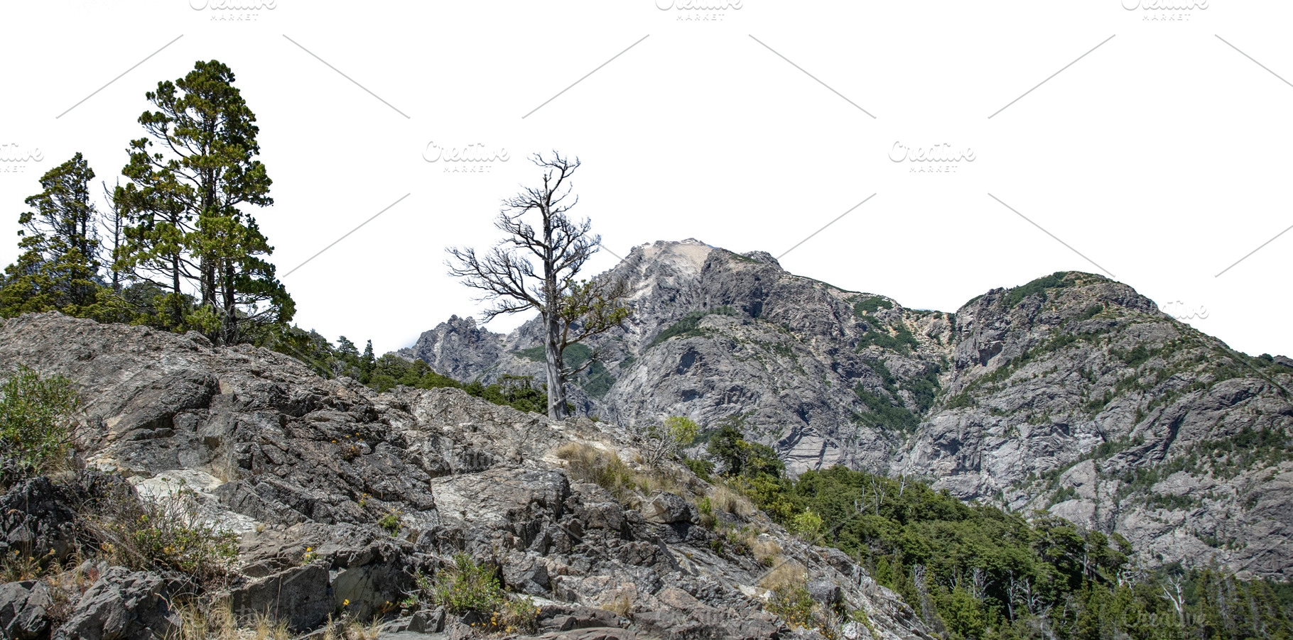 Rocky mountains and forest landscape isolated photo, a Nature Photo by DanFLCreativo