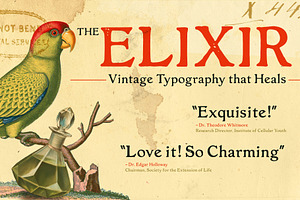 The Elixir