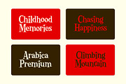 Billion Collars - Playful Serif, a Serif Font by Variatype (Thumbnail 5 of 8)