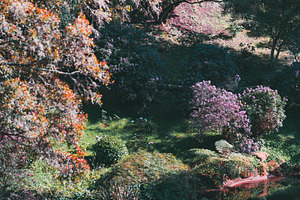 Blooming garden in Sintra sunlight, a Nature Photo by SkyNext